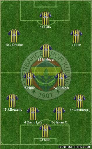 Fenerbahçe SK Formation 2014