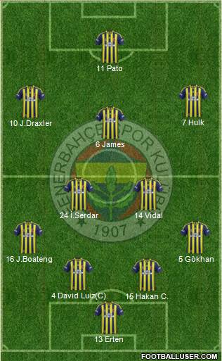 Fenerbahçe SK Formation 2014