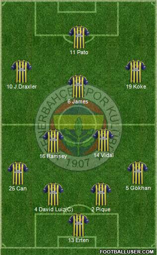 Fenerbahçe SK Formation 2014