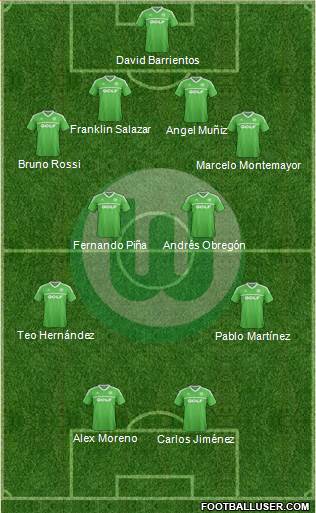 VfL Wolfsburg Formation 2014