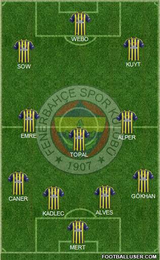 Fenerbahçe SK Formation 2014