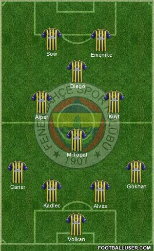 Fenerbahçe SK Formation 2014