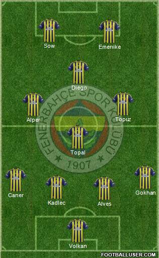 Fenerbahçe SK Formation 2014
