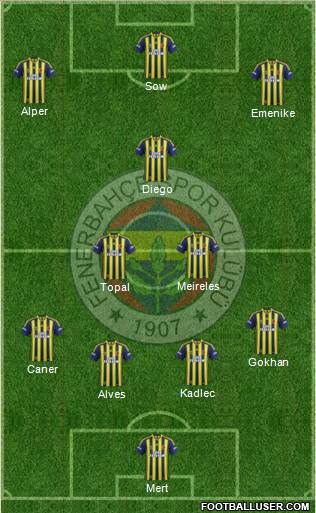 Fenerbahçe SK Formation 2014