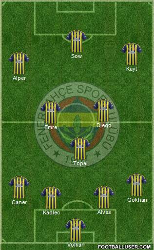 Fenerbahçe SK Formation 2014