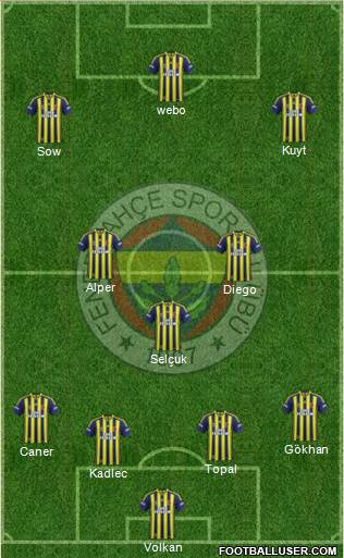 Fenerbahçe SK Formation 2014