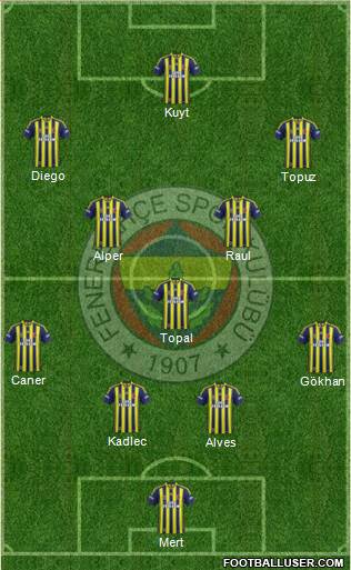 Fenerbahçe SK Formation 2014