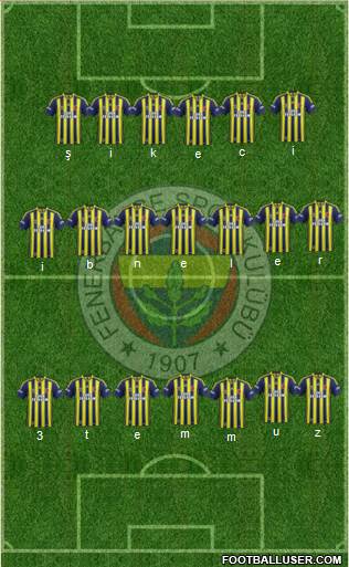 Fenerbahçe SK Formation 2014