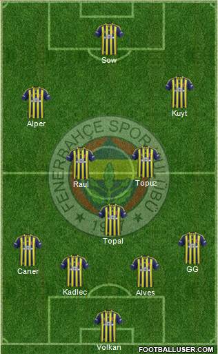 Fenerbahçe SK Formation 2014