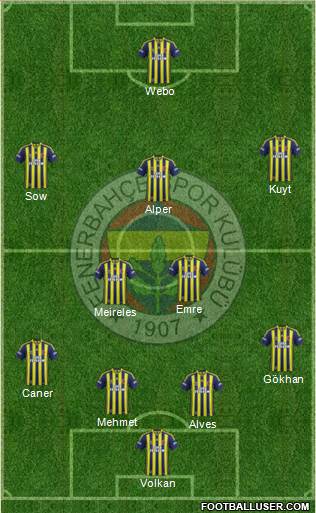 Fenerbahçe SK Formation 2014