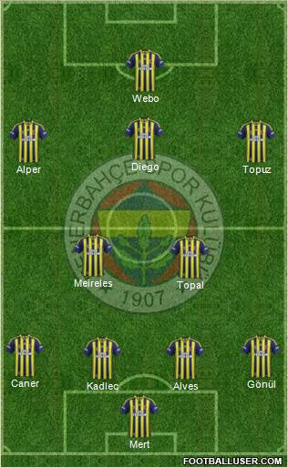 Fenerbahçe SK Formation 2014