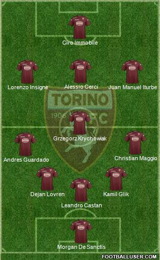 Torino Formation 2014