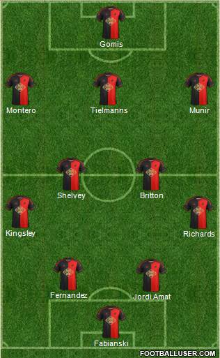 Swansea City Formation 2014