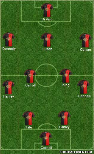 Swansea City Formation 2014