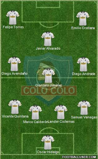 CSD Colo Colo Formation 2014