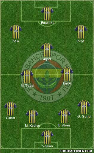 Fenerbahçe SK Formation 2014