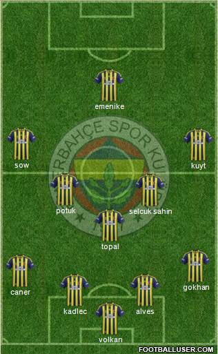 Fenerbahçe SK Formation 2014