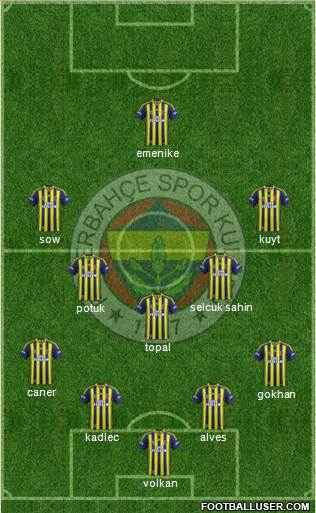 Fenerbahçe SK Formation 2014