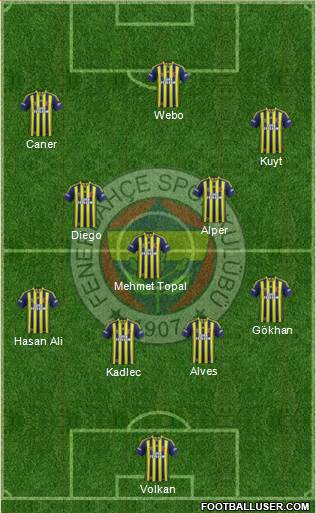 Fenerbahçe SK Formation 2014