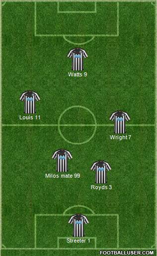 Newcastle United Formation 2014