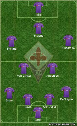 Fiorentina Formation 2014