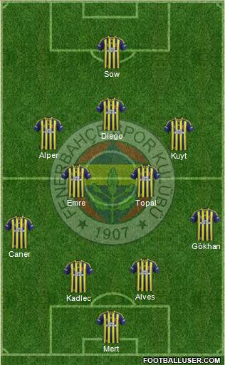Fenerbahçe SK Formation 2014