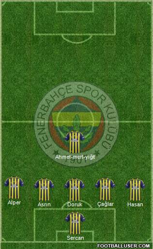 Fenerbahçe SK Formation 2014