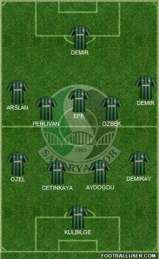 Sakaryaspor A.S. Formation 2014
