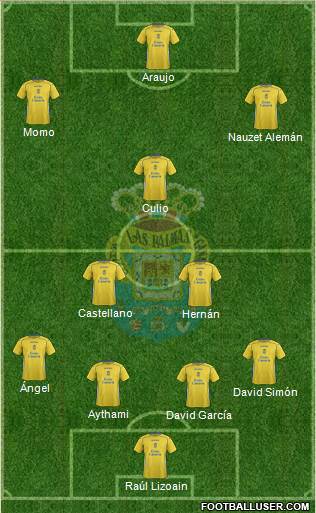 U.D. Las Palmas S.A.D. Formation 2014