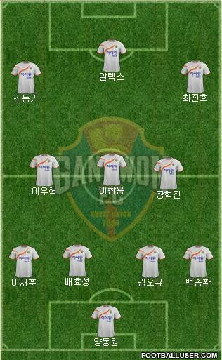 Gangwon FC Formation 2014