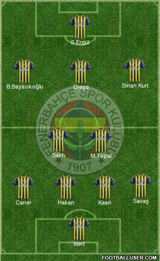 Fenerbahçe SK Formation 2014
