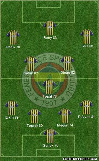 Fenerbahçe SK Formation 2014