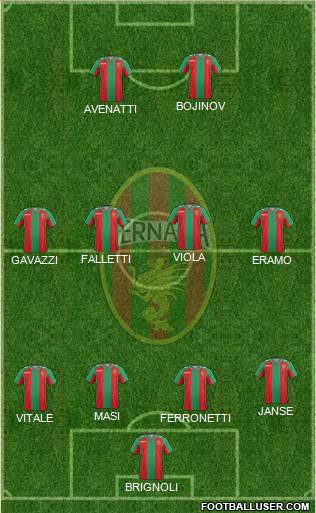 Ternana Formation 2014