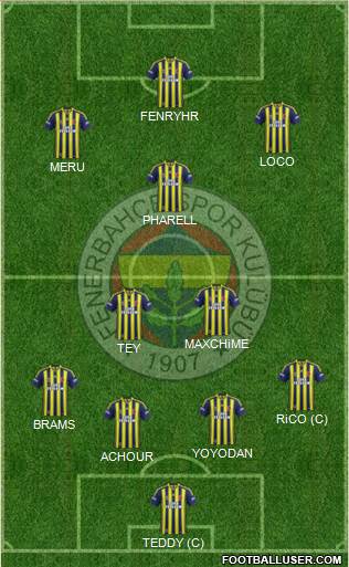 Fenerbahçe SK Formation 2014