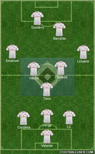 Hamburger SV Formation 2014