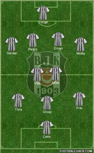 Besiktas JK Formation 2014
