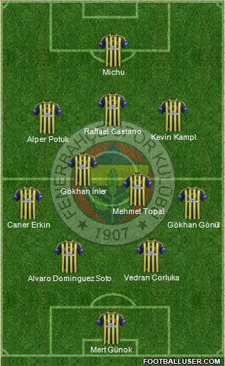 Fenerbahçe SK Formation 2014