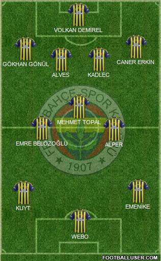 Fenerbahçe SK Formation 2014