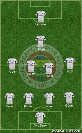 Fenerbahçe SK Formation 2014