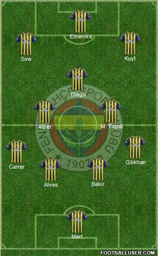 Fenerbahçe SK Formation 2014