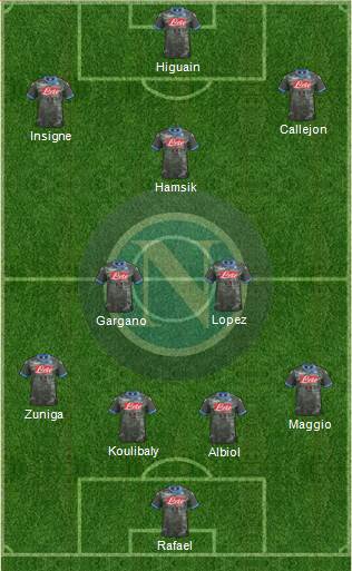 Napoli Formation 2014