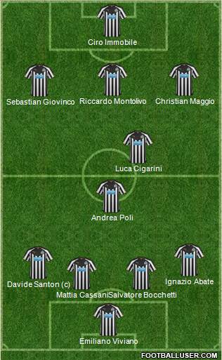 Newcastle United Formation 2014