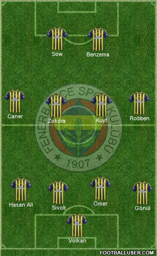 Fenerbahçe SK Formation 2014