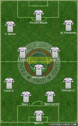 Fenerbahçe SK Formation 2014