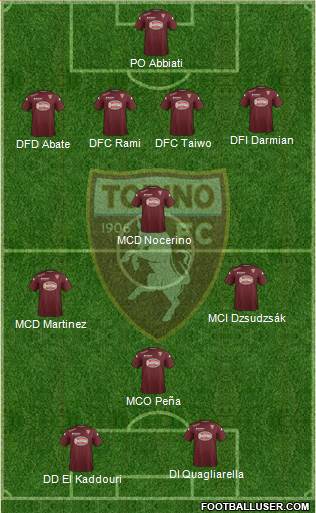Torino Formation 2014