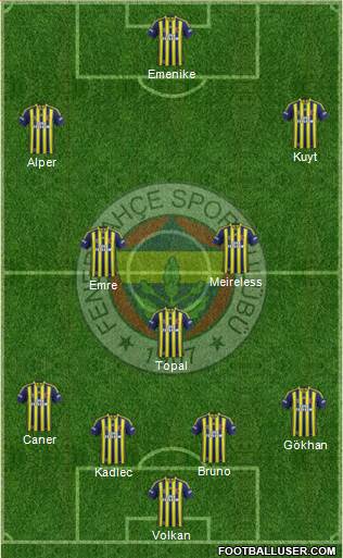 Fenerbahçe SK Formation 2014