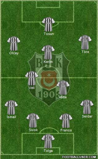 Besiktas JK Formation 2014