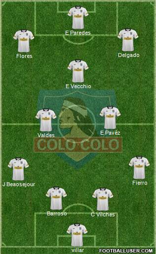 CSD Colo Colo Formation 2014