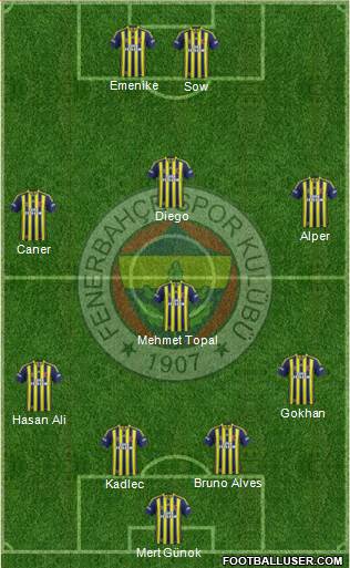 Fenerbahçe SK Formation 2014