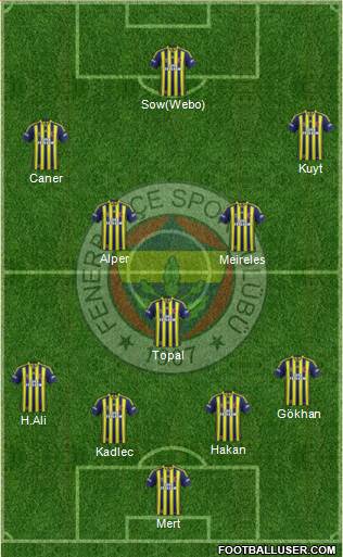 Fenerbahçe SK Formation 2014